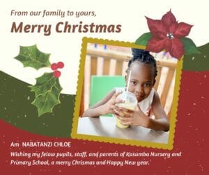 Read more about the article The History of Christmas Traditions Around the World