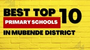Read more about the article Best Top 10 Primary Schools In Mubende District